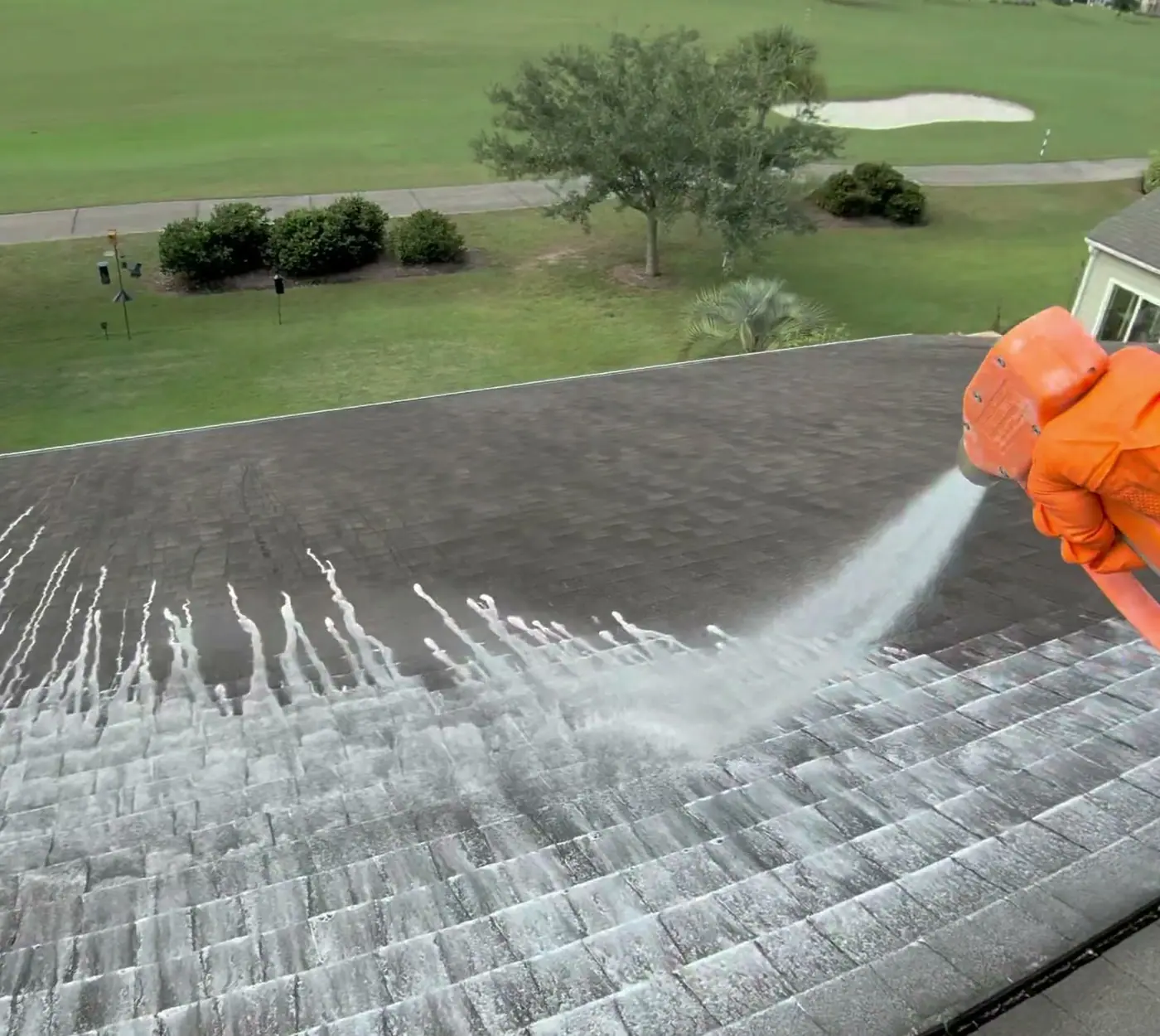 Algae streaks lifting off an asphalt shingle roof as the soft wash mix is applied, golf course below